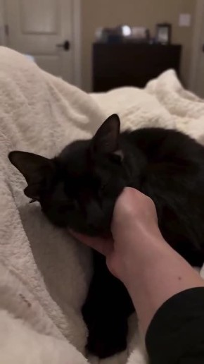 � ��� ���� ������� ��� ������������ ����: