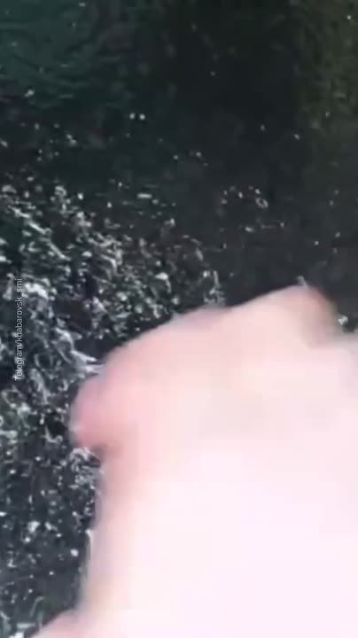 Хабаровск покрылся льдом — ночной дождь превратил улицы в "каток"