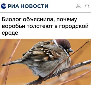 ������� ���������, ������ ������� �������� � ��������� �����: ������� � ���������� ������� ���������