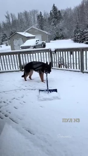 ����� ���� ������ ������ �� ����, ��� ���� �� ������