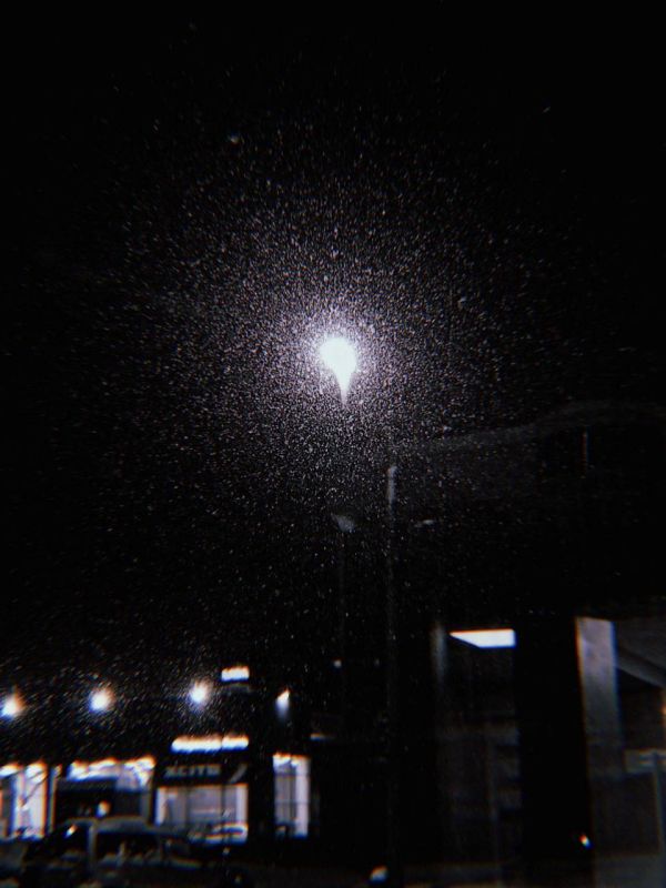 ���� ����: ���� � ���� ������ ������, ��� �� ������, ��� � ��� ���� ��� �����