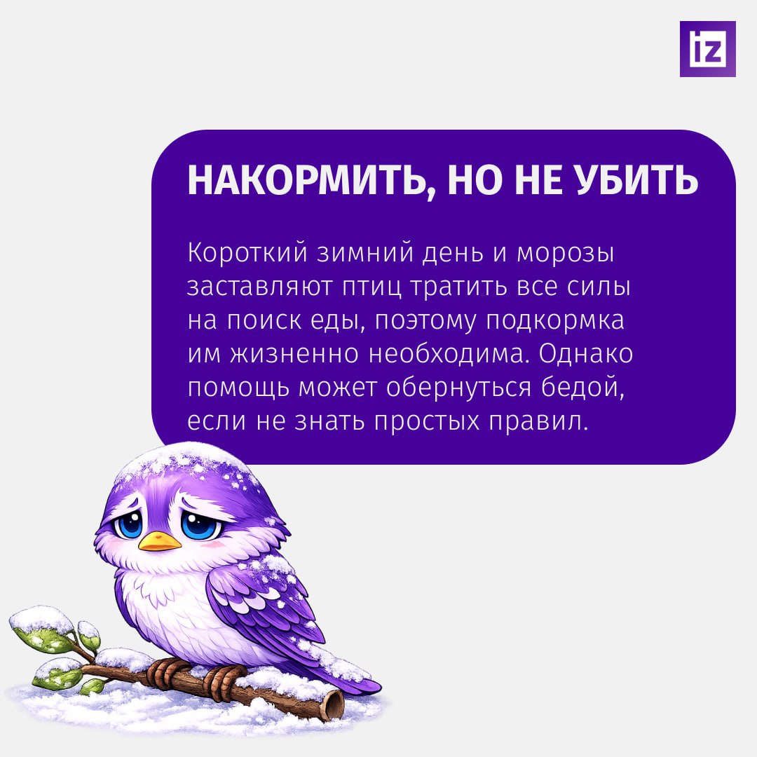 Если увидите толстого воробья, который не влезает в лужицу, знайте — это жертва фастфуда Если увидите толстого воробья, который не влезает в лужицу, знайте — это жертва фастфуда