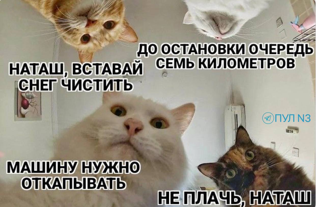 Звучит веселая песня «Кабы не было зимы»