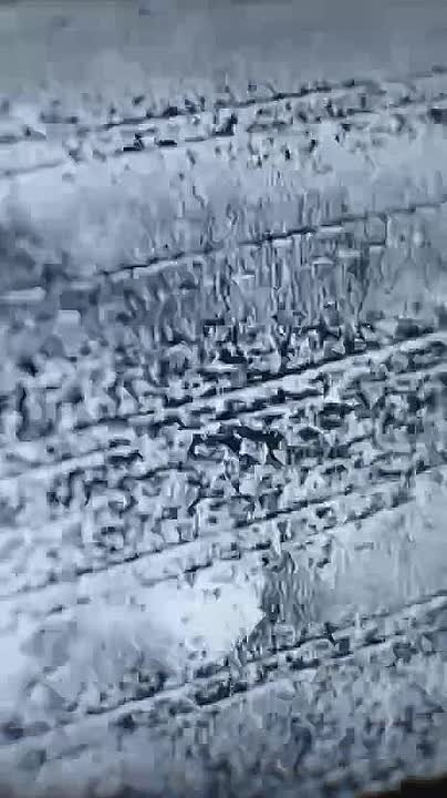 Михаил Онуфриенко: Открыт набор операторов БПЛА в подразделение беспилотных систем (г. Балашиха)