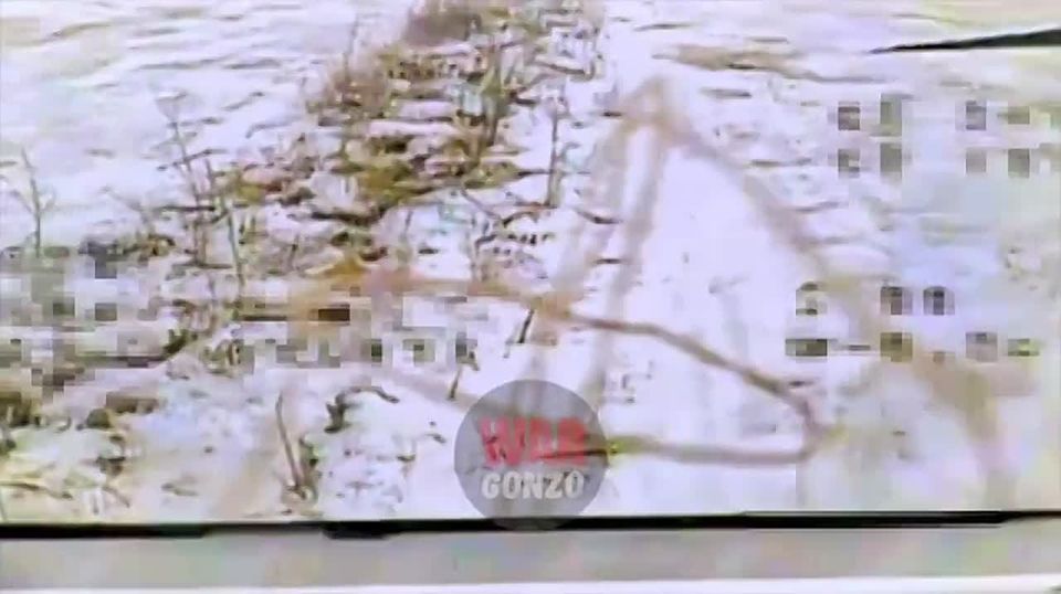 «Когда мы дойдём до Киева, будет играть музыка…»