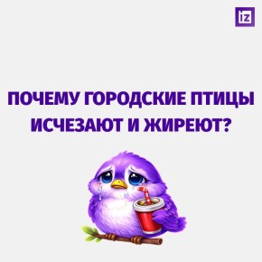 ���� ������� �������� �������, ������� �� ������� � ������, ������ � ��� ������ ��������