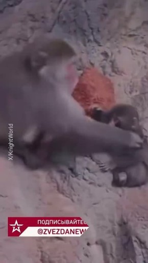 �������� ��������� ����� �������-�� ������