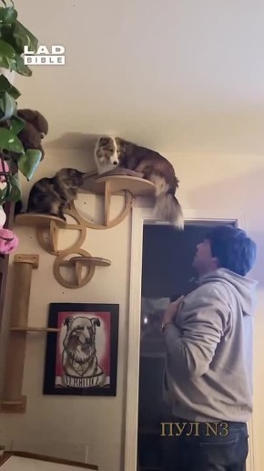 ��������, ��� ��������� ������ �� ���������� ������: