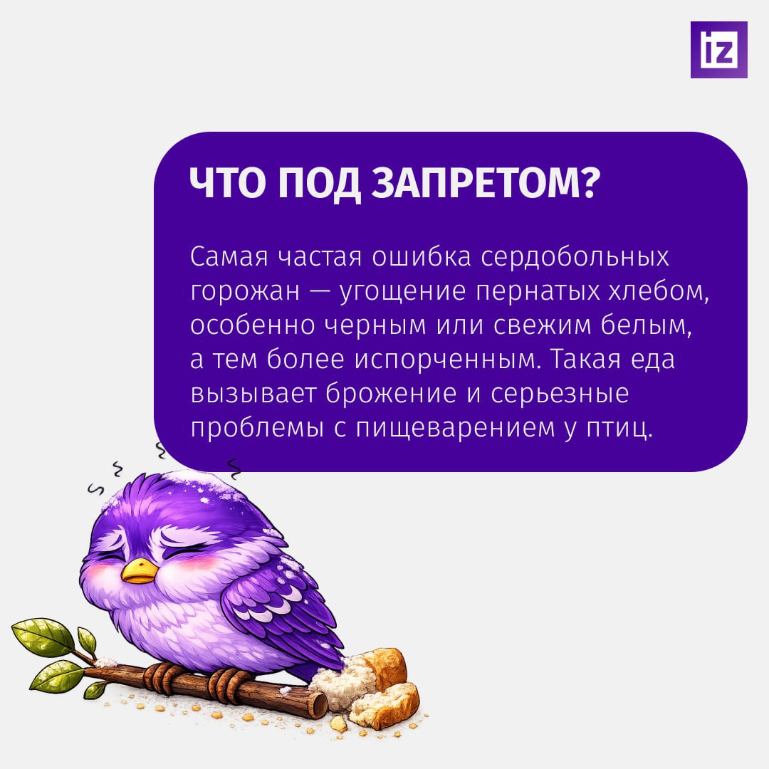 Если увидите толстого воробья, который не влезает в лужицу, знайте — это жертва фастфуда Если увидите толстого воробья, который не влезает в лужицу, знайте — это жертва фастфуда