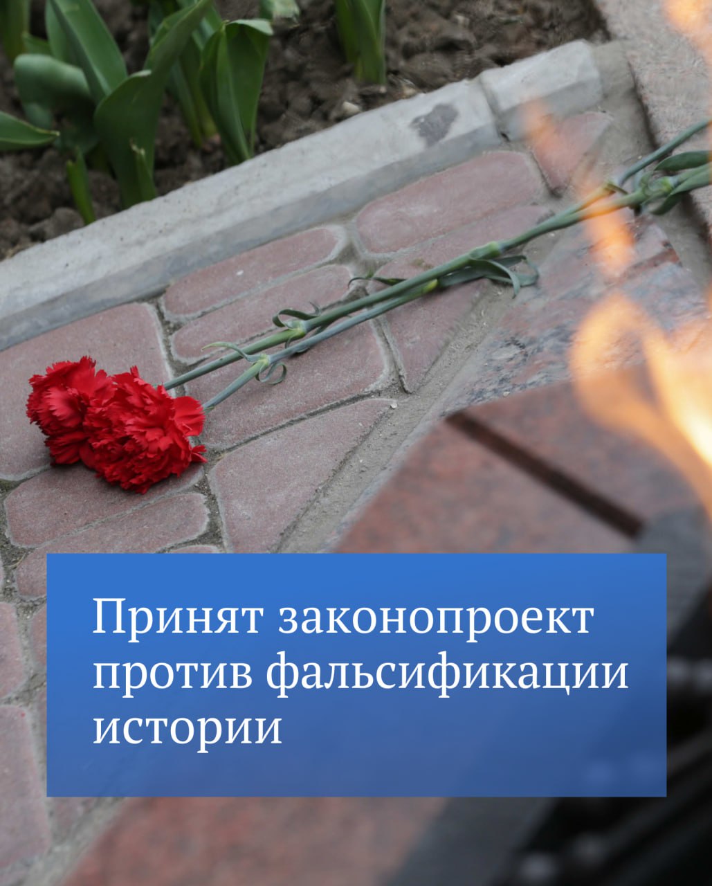 Государственная Дума приняла в первом чтении законопроект о профилактике искажения исторической правды