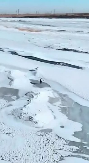 � ��������� ������ ������� ������ ���� ������ �� ������