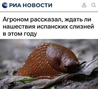 �������� ���������, ����� �� ��������� ��������� ������� � ���� ����: ��������� ������ ������� ������� ������� � ���� ����