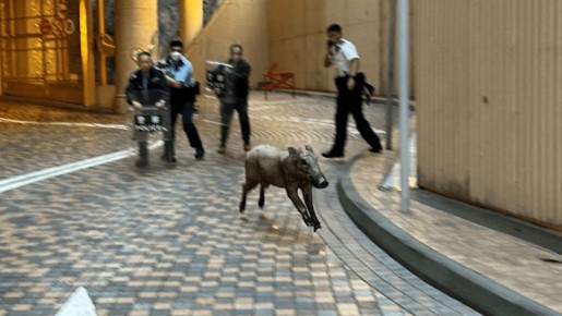 ����� �������� � �������� ������� ������� � ��������