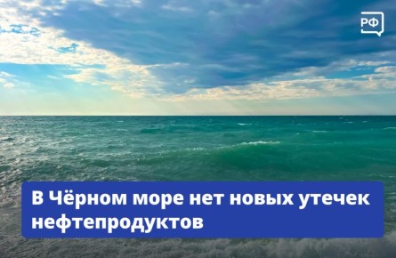 При наблюдениях из космоса новых разливов нефтепродуктов в Чёрном море не выявили, их также нет в акватории и на побережье