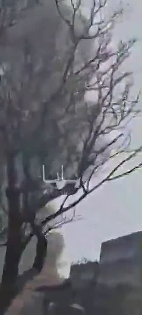 ������� ����� ������ � � ���� ����������� ������ ������� ����