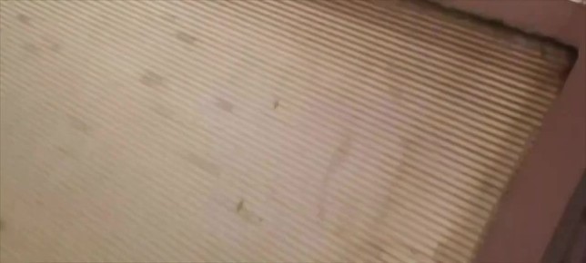 ���� ����: ������ The New York Times �� ������� �� ������������ ������������� ��� ��������, ��� ������� ���������� �������������� ������������� ��������� � ��� �� ������� ������� � � ���������