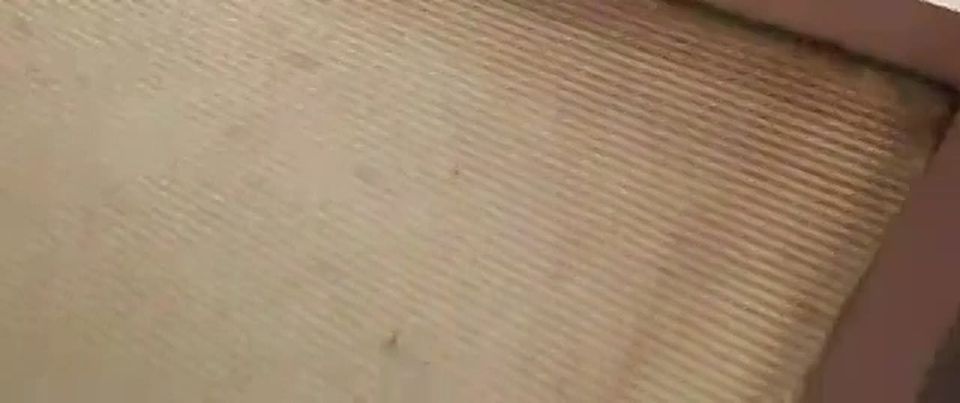 ���� ����: ����������� ������ �� ���������� ���������� ��������� ����� ��� ������� �� ����������� ������� � ����� � ����