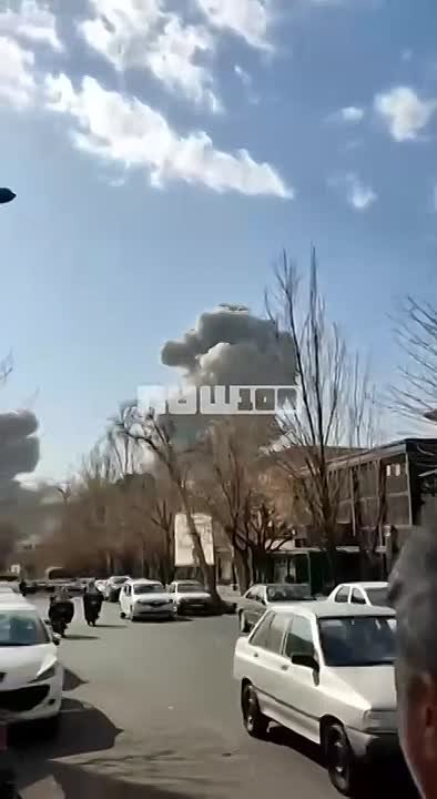 Александр Коц: Все, что нужно знать об американских писдилах