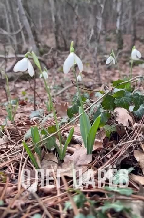 ���� ����: ����� ������ ���� �����, �����, �������� ���� ������ ��������� �����