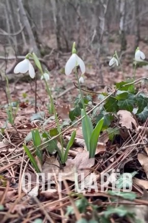 Олег Царёв: Нужно всегда идти вперёд, помня, что после зимы всегда наступает весна