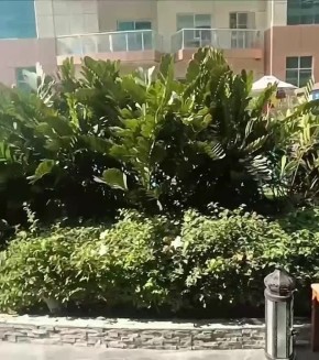 «Людям пофиг, чилят у бассейна. Хотя бабахи вон там и вон там»: