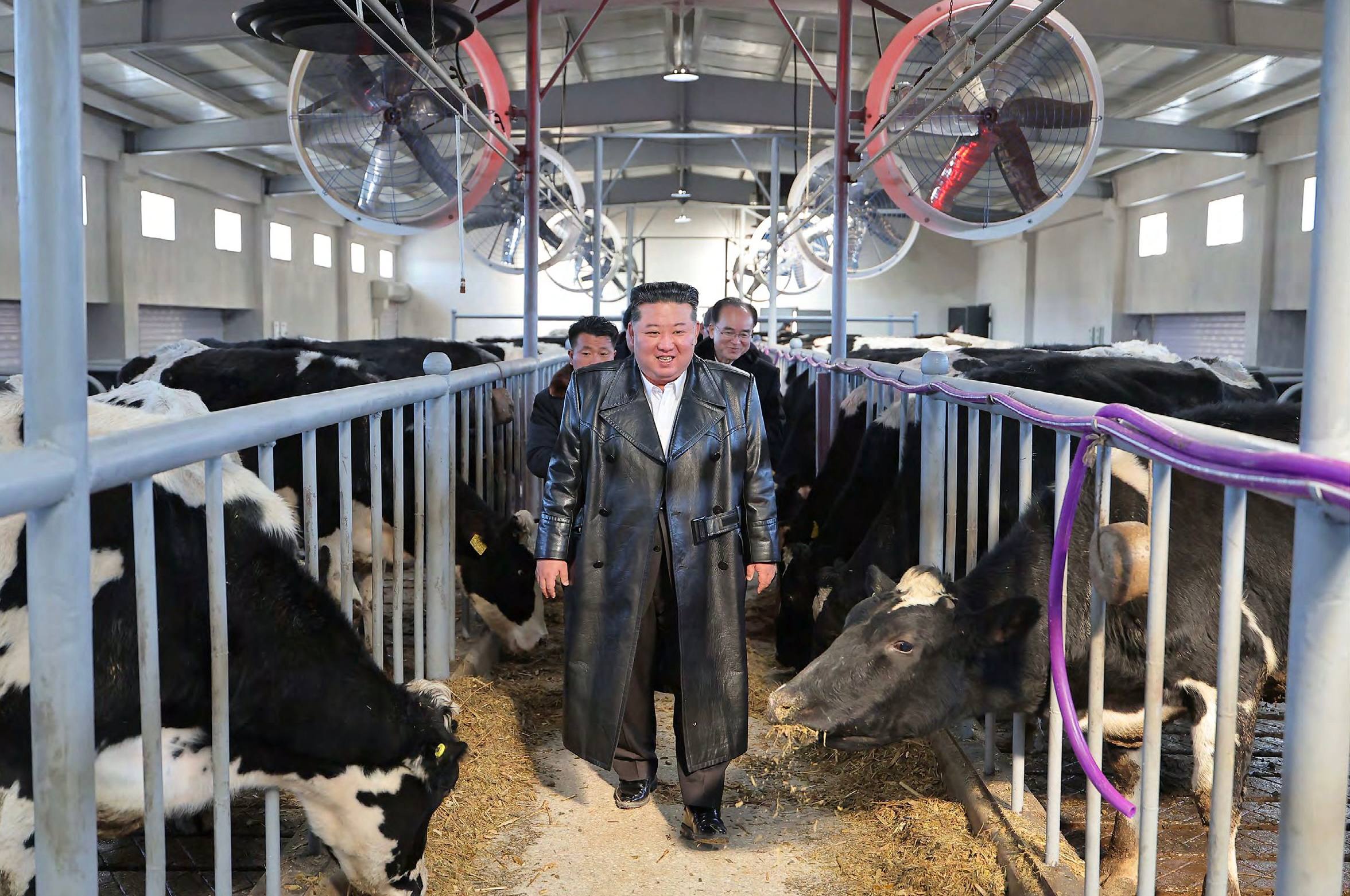 WarGonzo: Корея №2. Первым делом – теплицы, ракеты, стройки WarGonzo: Корея №2. Первым делом – теплицы, ракеты, стройки