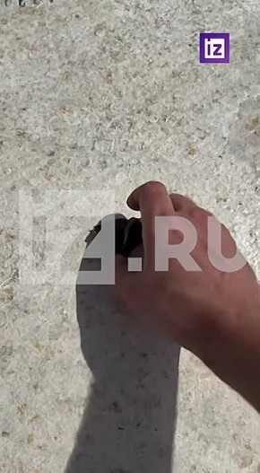 ���������� ����� ��������� ������� ��������� ������� �� �������, ������� ������ ��������� � ����� �����