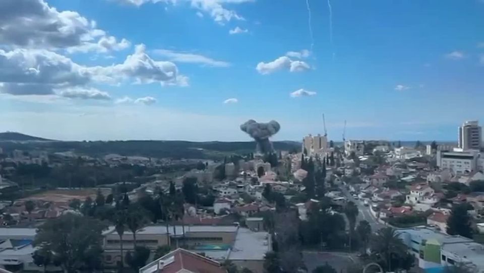 ������ ����������: �������, ����-�����. ������ �������� ������