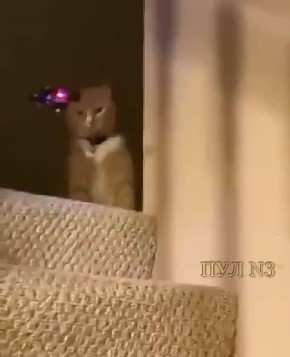 ������ ������ ���������� ������������� ������� ������ � ��������������