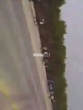 ��� �������� ������ ���� � ����� �� 200 ��������: