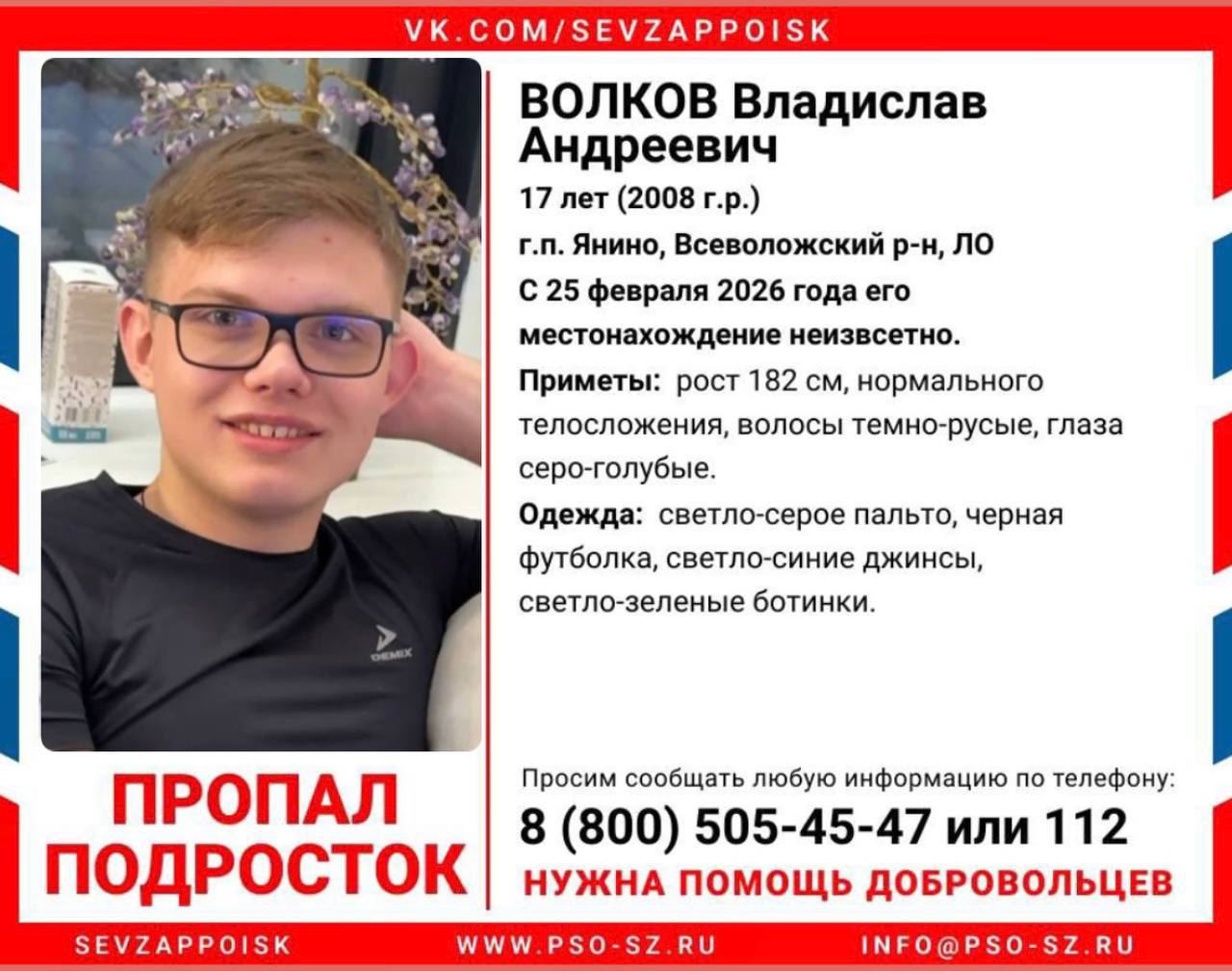 Александр Коц: В Янино пропал подросток. Волков Владислав Андреевич, 17 лет