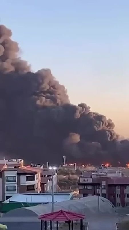 ������ ����������: �������� �������� (������� + ���) ������� �������� �������� � ��������