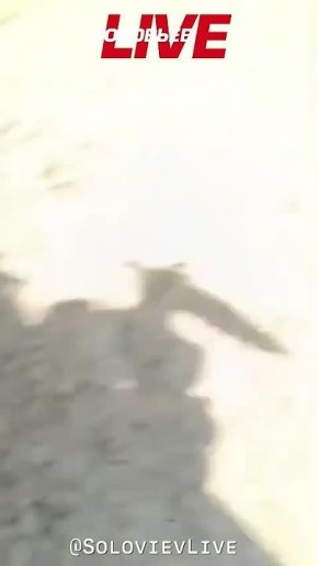 � ���������� ����� ���������������� �����, �� �������, ��� ������������, ������������ ������� ����������� LUCAS, ��������������� �� ������� ��������� Shahed, �������� �������� � ����� � ��� ��������� �����������...