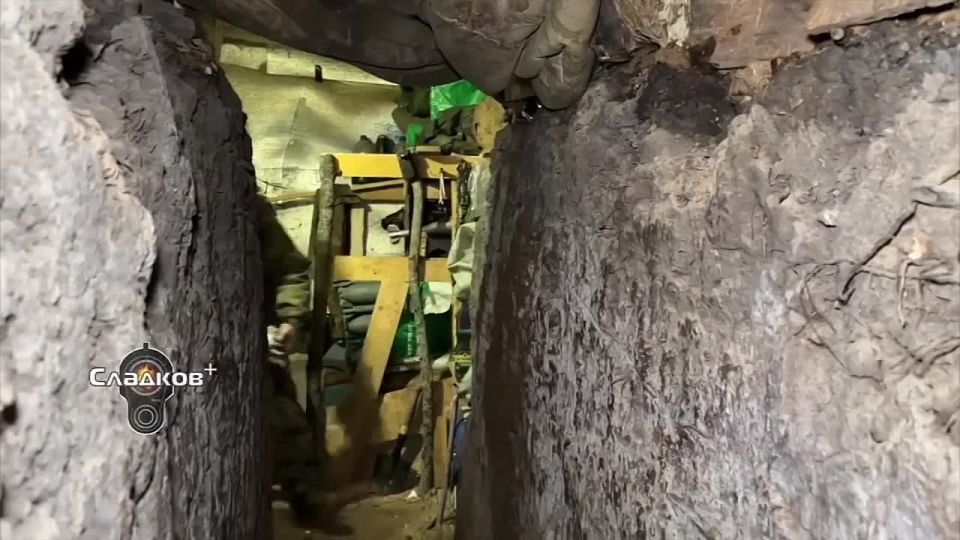 ��������� �������: �� ���, ��� ��������-����� � ���� ��� �����, ��� ������ ��� ����, �������: ����, ��� ������, � ��� ����, ���� ��������. ������ ������ ��� �� ���������� ��������, � ��� ��������, � � ������ �� �����...