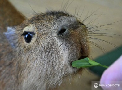 ���������� �� ������� ������ � ������