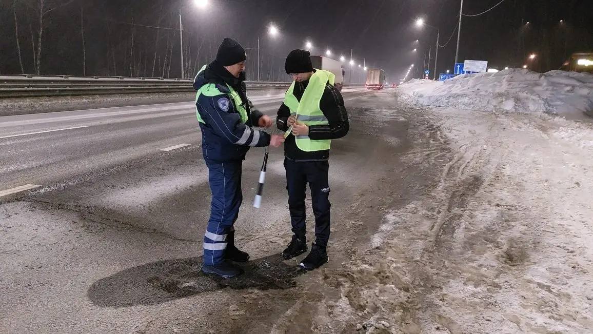 Госавтоинспекция Тульской области подвели итоги ОПМ «Пешеход» Госавтоинспекция Тульской области подвели итоги ОПМ «Пешеход»
