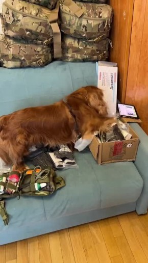 ���� ��������: ������� ��������� �������, ������� � ����� ����� ���������