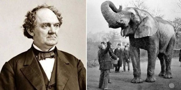 ��������� ���: �������� ����:. ���� ��������� ���