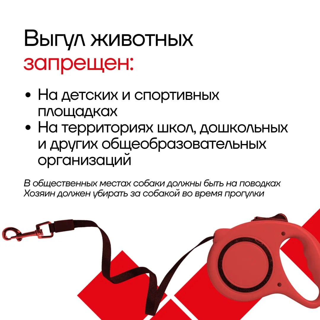 Все на учет: рассказываем о новых правилах регистрации и выгула домашних животных в Тульской области Все на учет: рассказываем о новых правилах регистрации и выгула домашних животных в Тульской области