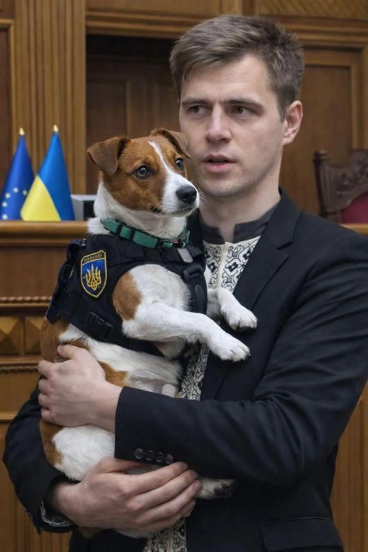 ������ � ������� ���������� ���������� - ��� ������ � ���������� (��� ��� ��������, ��� ���������� ���� ���������� ���� ����� �� ��������� � ��� �����������)