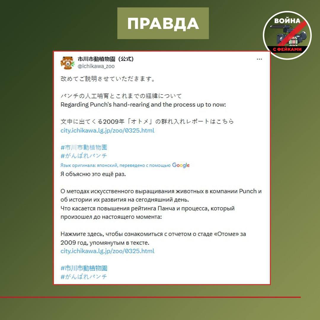 Фейк: У японской макаки по кличке Панч из зоопарка города Итикава скоро отберут любимую плюшевую игрушку Фейк: У японской макаки по кличке Панч из зоопарка города Итикава скоро отберут любимую плюшевую игрушку