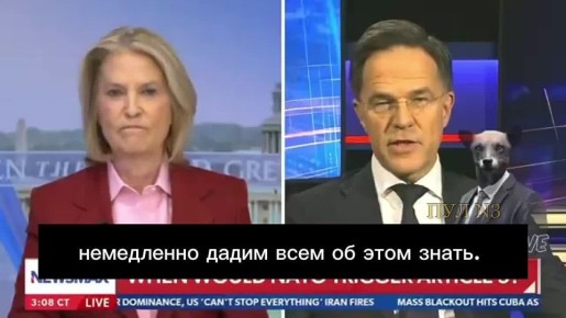 ������ ���� ����� � �� ������������� ������ 5 ���� �� ���� ��������� ��� � ������: