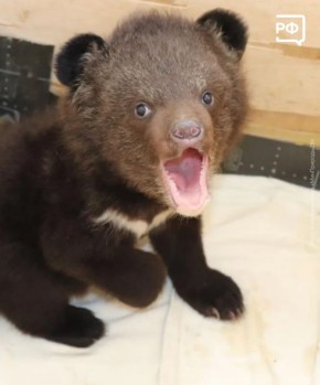 ��� ������ �������� ��� ����