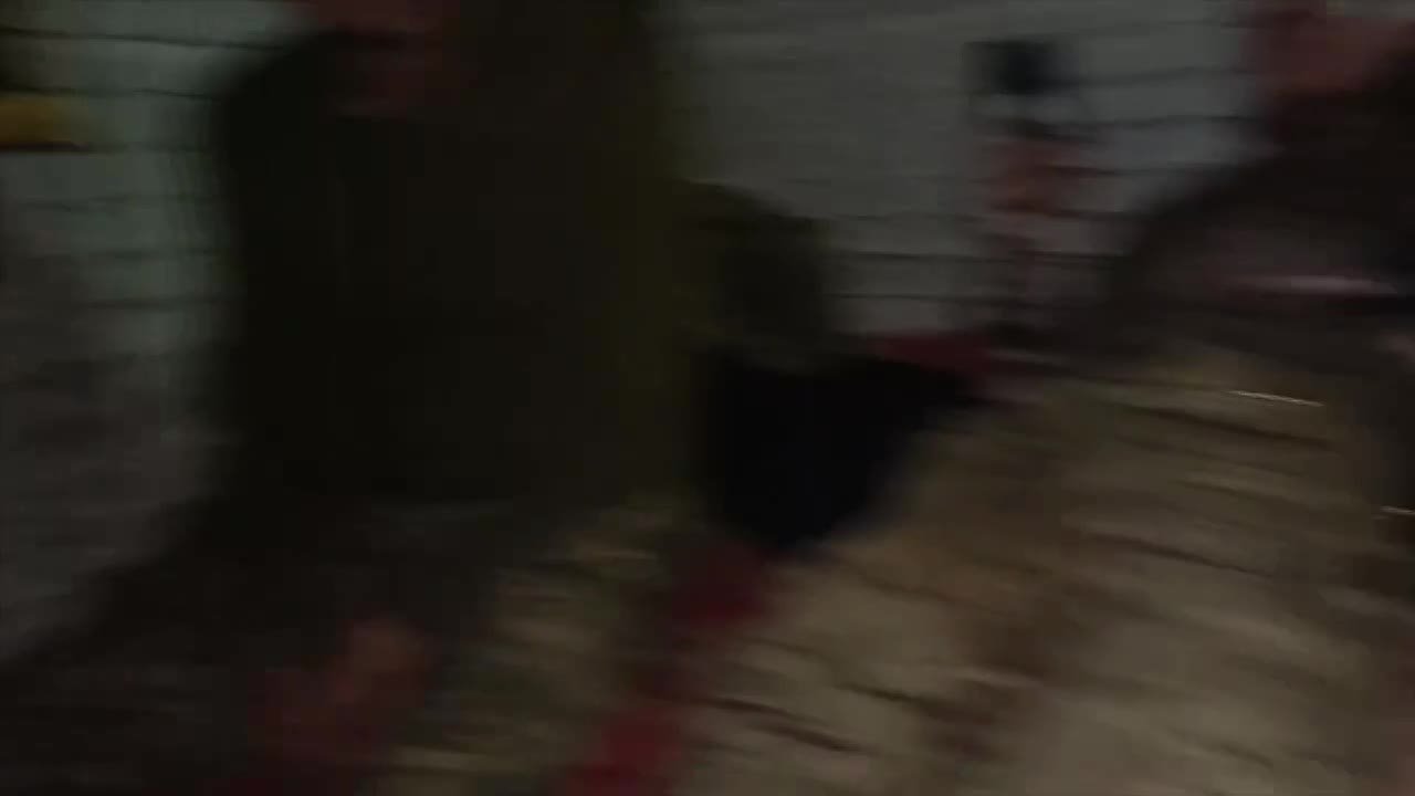 Александр Коц: Мой репортаж. Неделя в одном бункере с врагом