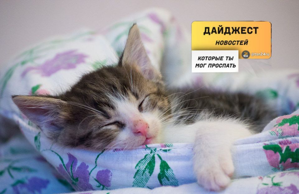 ������������ � ��������, ������� �� ����� ���������� �����