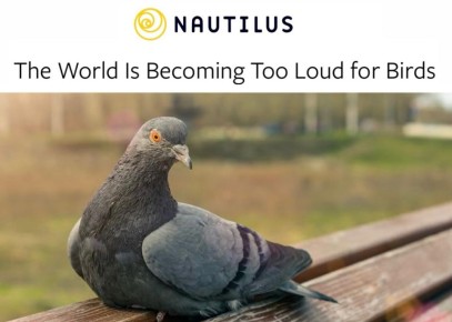 ���� ���������� ������� ������� ��� �����: ��� �������� �������� ������� ������� ������� � ���� � �������� �� �������������� �����