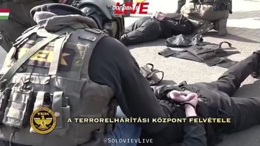 ��������� ����� ���������� ���������� ������������ ������������ ����������� ���������������������� ������ [���], ������� ���������� 40 ��������� �������� ���, 35 ��������� ���� � 9 ����������� ������