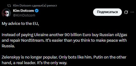 «Заключить мир с Россией проще, чем вы думаете», — немецкий бизнесмен Ким Дотком призывает ЕС начать покупать российское сырьё и восстановить работу «Северного потока»