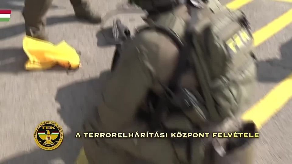 Венгерское правительство показало изъятые из украинских инкассаторских автомобилей деньги и золото