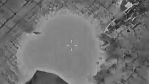 �������������� ��� � ������� ���������� ������������ �������� ������� �������� � ���������, �������� VEDA